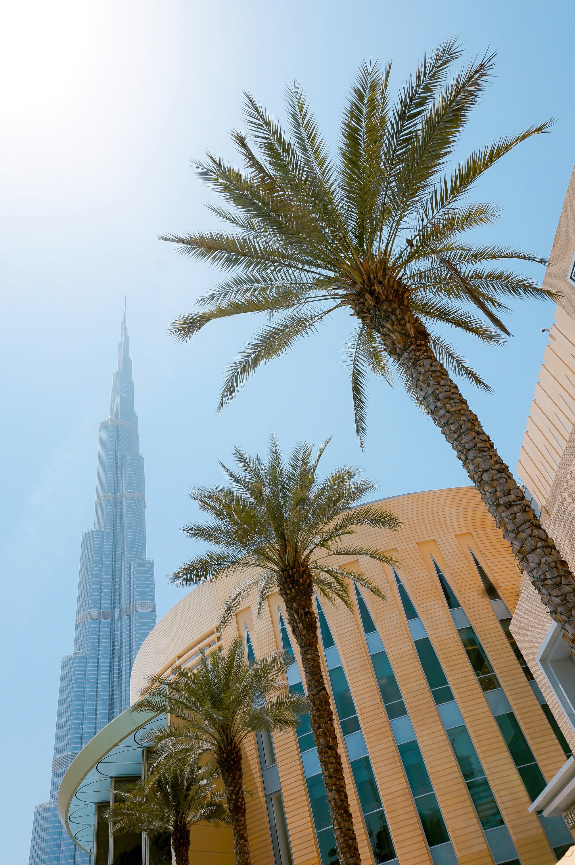 Dubai Skyline